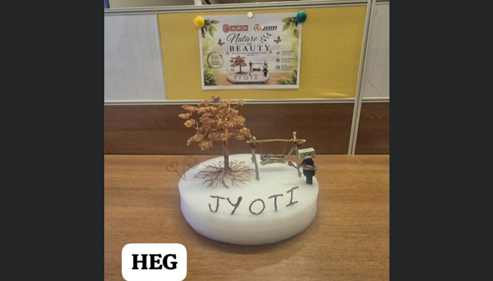 HEG HEG