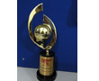Milestones & Awards 2011