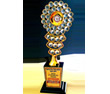Milestones & Awards 2012