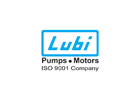 Lubi Pumps Motors