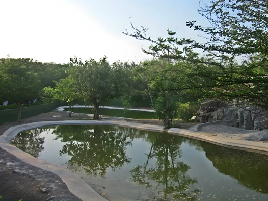 Pradhyuman Zoological Park, Rajkot Pradhyuman Zoological Park, Rajkot